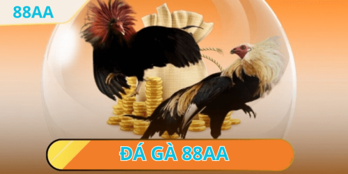 Coi đá gà cựa dao tại nhà cái 88AA - Trải nghiệm độc đáo và hấp dẫn