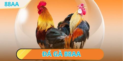 Đá gà trực tuyến tại nhà cái 88AA - Trải nghiệm đỉnh cao cùng đam mê chiến kê