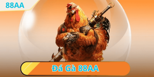 Chơi đá gà cựa dao tại nhà cái 88aa