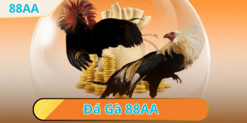 Chơi đá gà thomo sv388 tại nhà cái 88aa