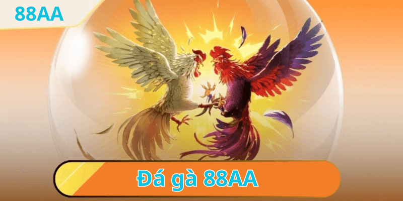 Chơi đá gà thomo trực tiếp tại nhà cái 88aa