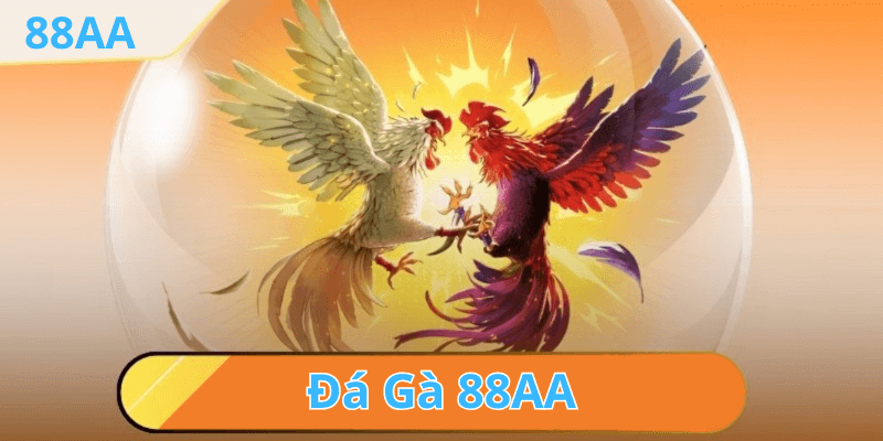 FAQs - Câu Hỏi Thường Gặp