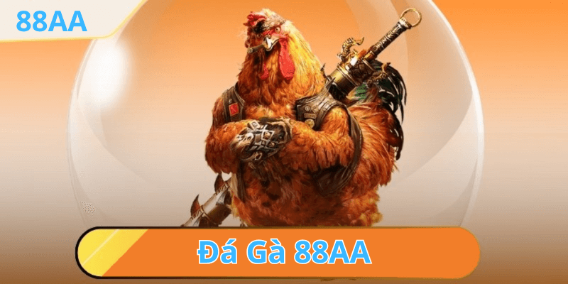 Kinh Nghiệm và Lời Khuyên Khi Chơi Đá Gà 88AA