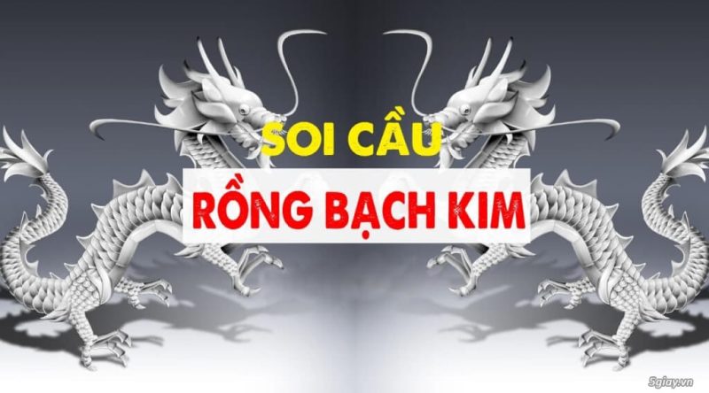 Tìm Hiểu Về Rồng Bạch Kim 888