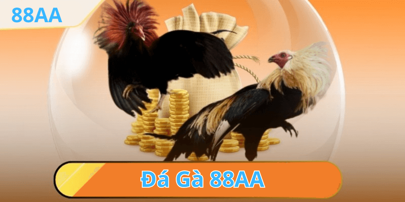 Tổng quan về Đá Gà và Những Điều Cần Biết